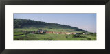 Vineyard  Haut-Rhin-Alsace  St Hyppolyte  France