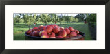 Apples in a Container