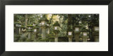 Stone Lanterns  Kasuga Taisha  Nara  Japan