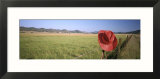 Red Cowboy Hat Hanging on the Fence  California  USA