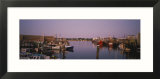 Fishing Boats Docked at a Harbor  Gloucester  Cape Ann  Massachusetts  USA