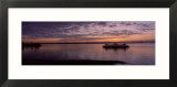 Silhouette of a Ferry in a River  Bainbridge  Washington State  USA