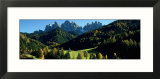 Trees on a Landscape  Dolomites  Funes Valley  le Odle  Santa Maddalena  Tyrol  Italy
