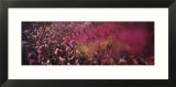 People Celebrating Holi  Braj  Mathura  Uttar Pradesh  India