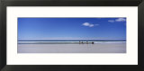 Four Gentoo Penguins Standing on the Beach  Falkland Islands