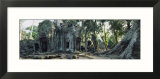 Old Ruins of a Building  Angkor Wat  Cambodia
