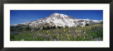 Snowcapped Mountain on a Landscape  Mt Rainier  Mt Rainier National Park  Washington  USA