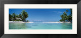 Palm Trees on the Beach  Tikehau  French Polynesia