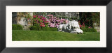 Lion Statue in a Garden  Torosay Castle  Isle of Mull  Scotland