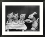 Living Kittens Dressed up are Served a Meal by Their Chef Rabbit