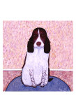 Patience - Springer Spaniel