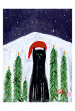 Santa Cat