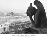 The View from Notre Dame
