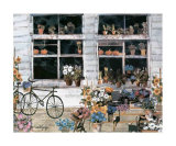 Day Market