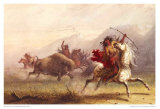 Bison Hunt