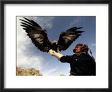 Takhuu Raising His Eagle  Golden Eagle Festival  Mongolia
