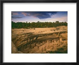 Ruins of Cliff Palace Built by Pueblo Indians  Mesa Verde National Park  Colorado  USA