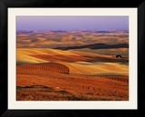 View of Colorful Palouse Farm Country at Twilight  Washington  USA