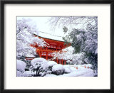 Kamigamo Shrine in Snow  Kyoto  Japan