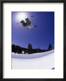 Airborne snowboarder in half pipe position