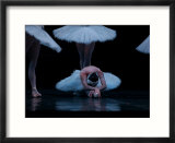 Ballet  Live Performance