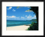 The North Shore of Oahu