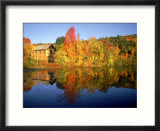 Autumn foliage and lake  The Berkshires  MA