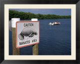 Manatee Warning Sign  Palm Island  FL