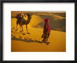 Camel Driver  Thar Desert  Rajasthan  India