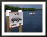 Manatee Warning Sign  Palm Island  FL