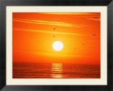 Birds Flying At Sunset  Playa Del Rey  CA