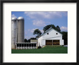 Amish Farm with Tobacco Dried in Barn  PA