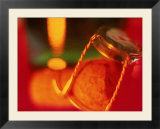 Champagne Cork and Cover