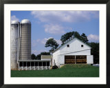Amish Farm with Tobacco Dried in Barn  PA