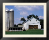 Amish Farm with Tobacco Dried in Barn  PA
