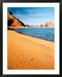Mussel Shell At Dungeon Canyon  Lake Powell