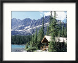 Cabin Near Lake O'Hara  Banff National Park  Alberta  Canada
