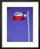 Texas State Flag