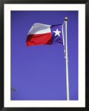 Texas State Flag