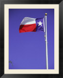 Texas State Flag