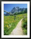 Trail to the Sexton Sundial  Sesto  Italy