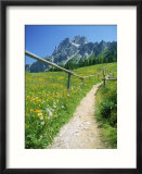Trail to the Sexton Sundial  Sesto  Italy