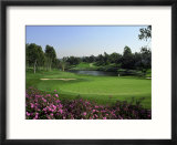 Golf Course and Lake