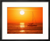 Boats in harbor  Playa Del Rey  CA