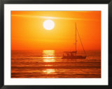 Boats in harbor  Playa Del Rey  CA
