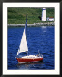Gaff-Rigged Schooner
