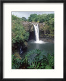 Rainbow Falls  Hilo  HI