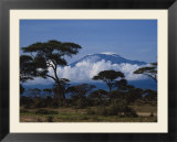 Kenya  Mount Kilimanjaro