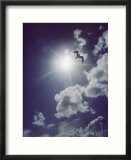 Gulls silhouetted against the sun