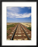 A view of the Indian Pacific Railroad crossing the Nullarbor Plain